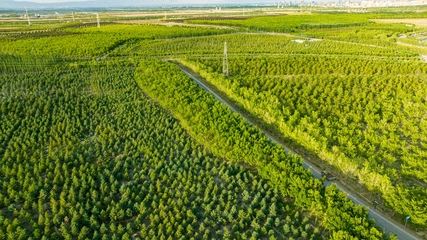 張掖奧林匹克森林公園景色怡人