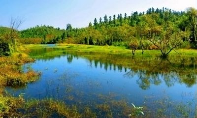 文山這十年|打好守護(hù)綠水青山硬仗,初步建成文山特色“喀斯特綠洲”!