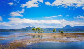 國務(wù)院下發(fā)通知 加強濱海濕地保護(hù) 嚴(yán)格管控圍填海