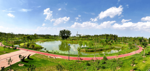 大興生態(tài)治理成效丨安南濕地環(huán)保主題公園“變身” 國(guó)慶期間正式對(duì)外開(kāi)放