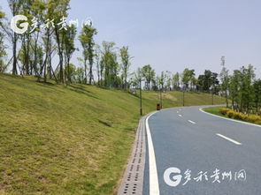 多彩貴州網(wǎng) 打造生態(tài)景觀 改善長(zhǎng)江沿岸生態(tài)服務(wù)功能