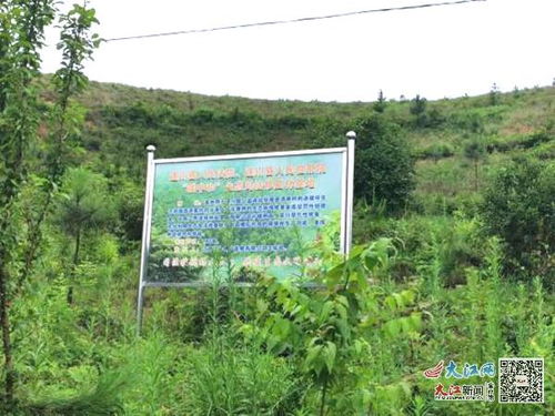 遂川 昔日毀林今朝植樹(shù) 生態(tài)司法守護(hù)青山綠意 圖